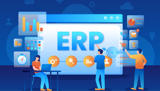 ERP Software in Faridabad 